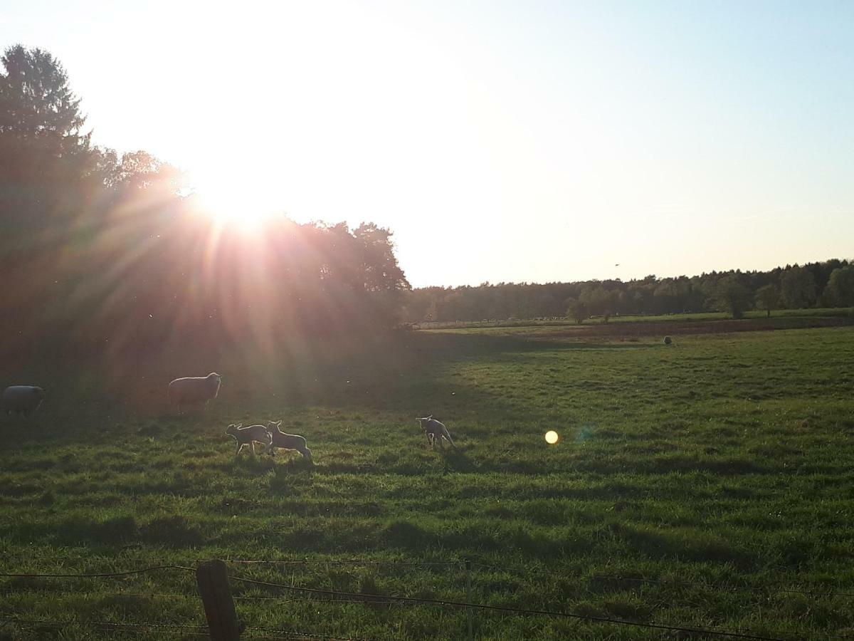 Schoene Komplette Ferienwohnung In Wesel Wesel  Kültér fotó